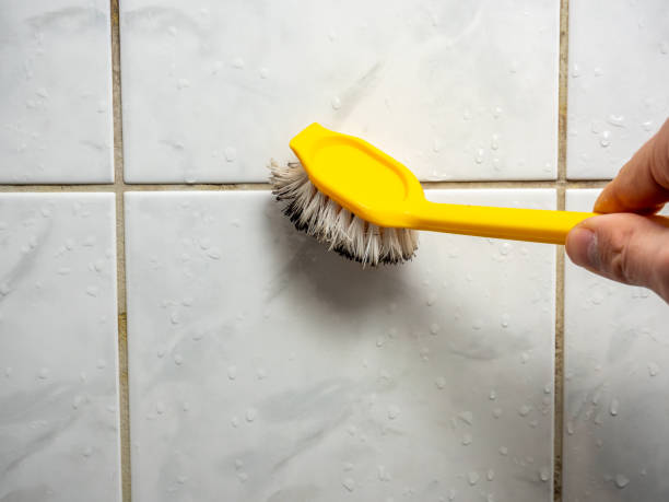 Best Attic Mold Removal  in Bethlehem Village, CT