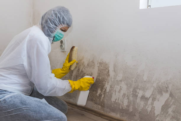 Best Water Damage Restoration  in Bethlehem Village, CT