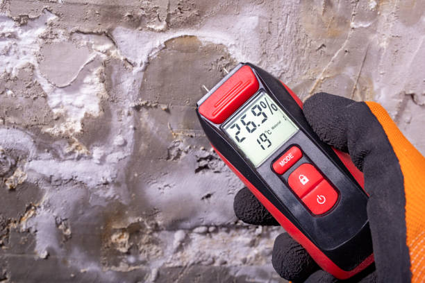 Best Crawl Space Mold Removal  in Bethlehem Village, CT