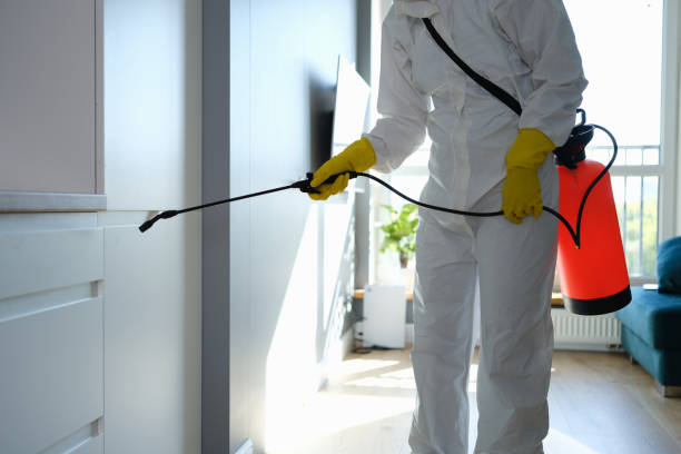 Best Crawl Space Mold Removal  in Bethlehem Village, CT